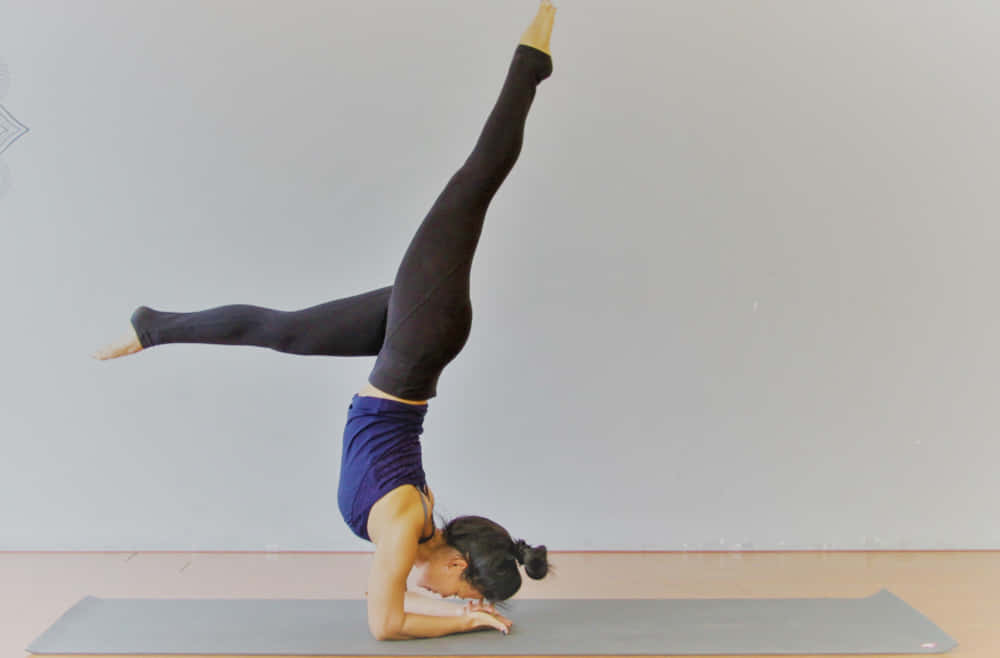 20 hour Creative Vinyasa sequence with Thuong Nguyen